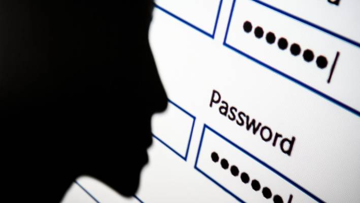 Online Fraud
