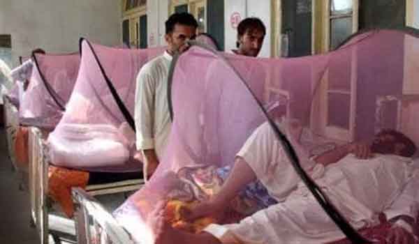 रामनगर में डेंगू से एक और मरा