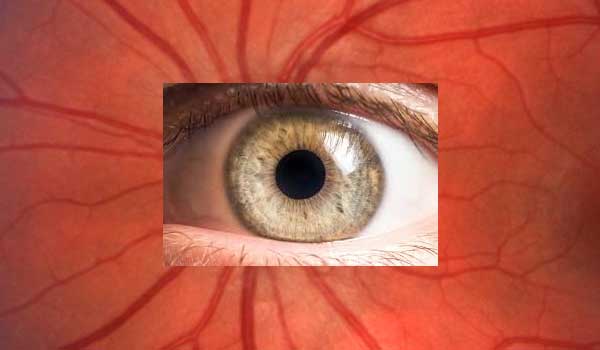 More than 220 cr. people are affected by eye diseases
